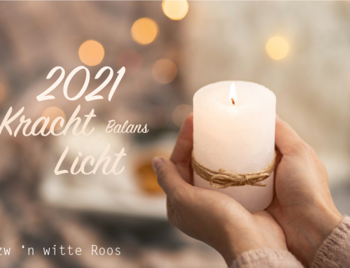 Onze beste wensen voor het nieuwe jaar – 2021 ✨